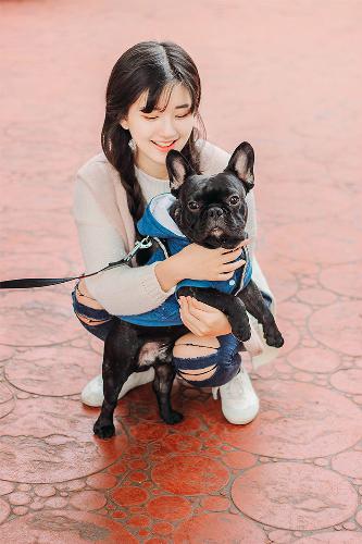 疯狂动物城2(国语版)