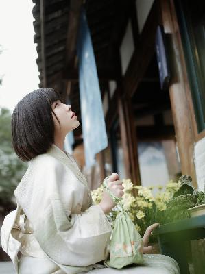 间谍过家家第三季