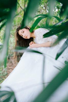 国产免费高清观看电视剧